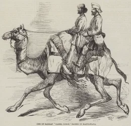 Un des corps de chameaux de Barras, levé à Rajpootana